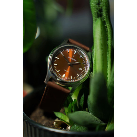 Capusson Havana Brown | French automatic watch, sunburst dial