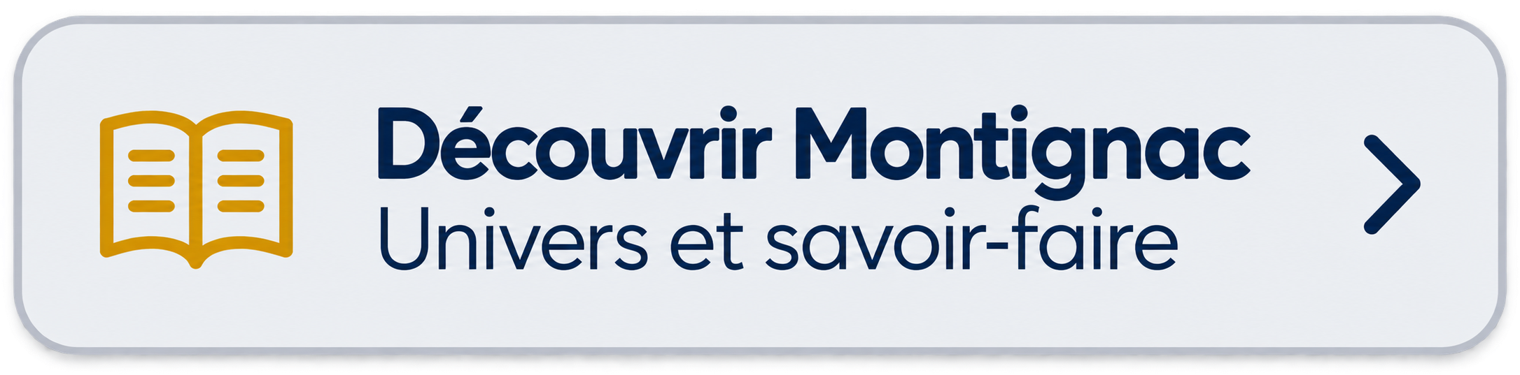 MONTIGNAC