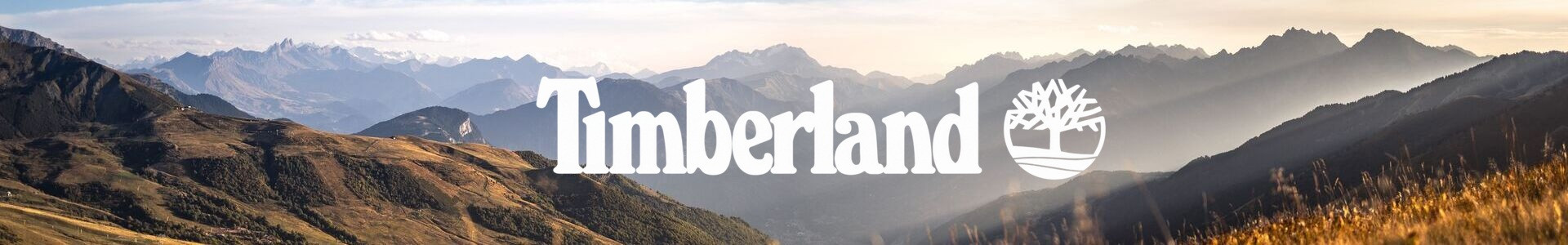 TIMBERLAND